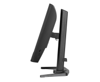 IIYAMA G-Master GB2471HSU-B1 Red Eagle - 1370360 - zdjęcie 6